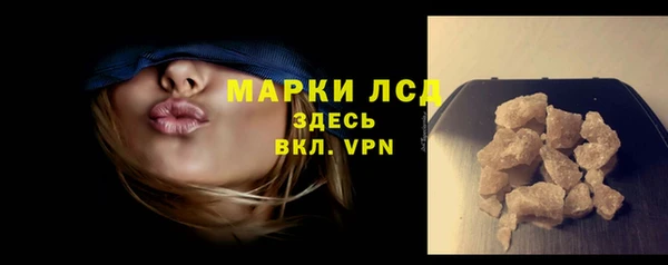 прущий лед Новозыбков