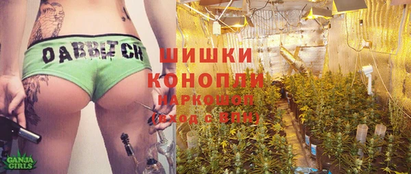 прущий лед Новозыбков