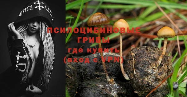 трава Новокубанск