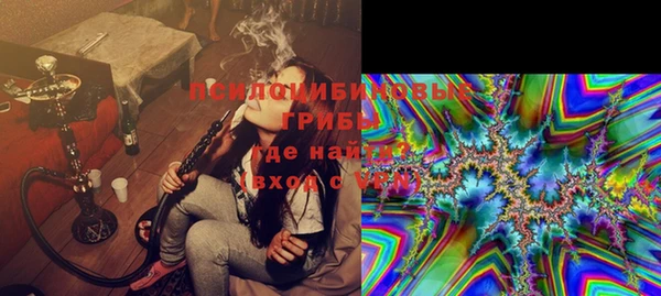 прущий лед Новозыбков