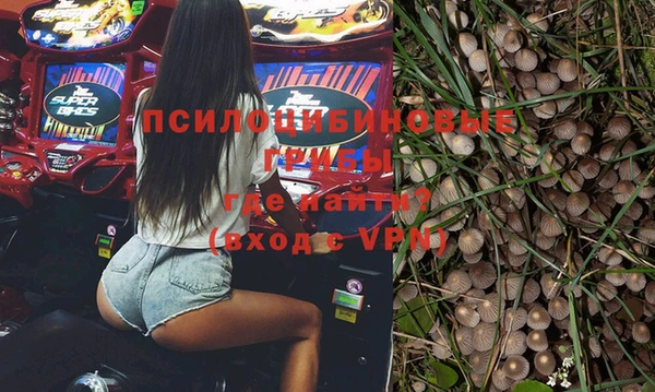 прущий лед Новозыбков