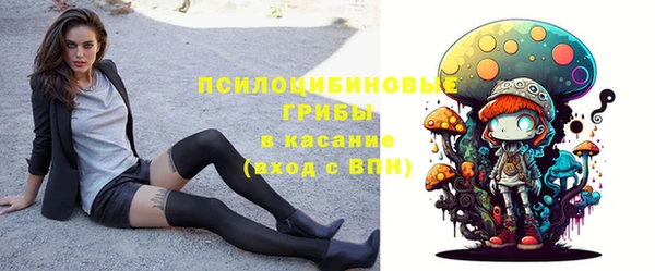 прущий лед Новозыбков