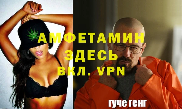 прущий лед Новозыбков