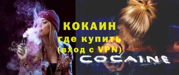 прущий лед Новозыбков