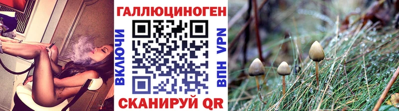 купить наркоту  Томилино  ОМГ ОМГ ссылка  Псилоцибиновые грибы MAGIC MUSHROOMS 